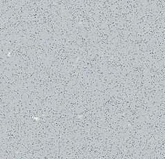 Линолеум Forbo SafeStep R12 175862 silver grey фото 1 | FLOORDEALER